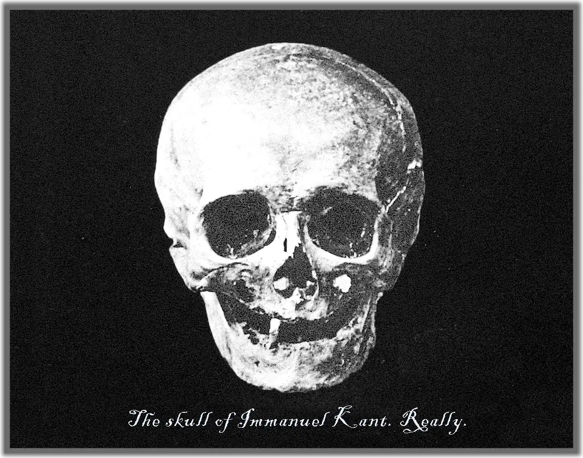 Kostum Halloween 🎭 Bertema Filosofi Kembali Viral di Kalangan Akademisi