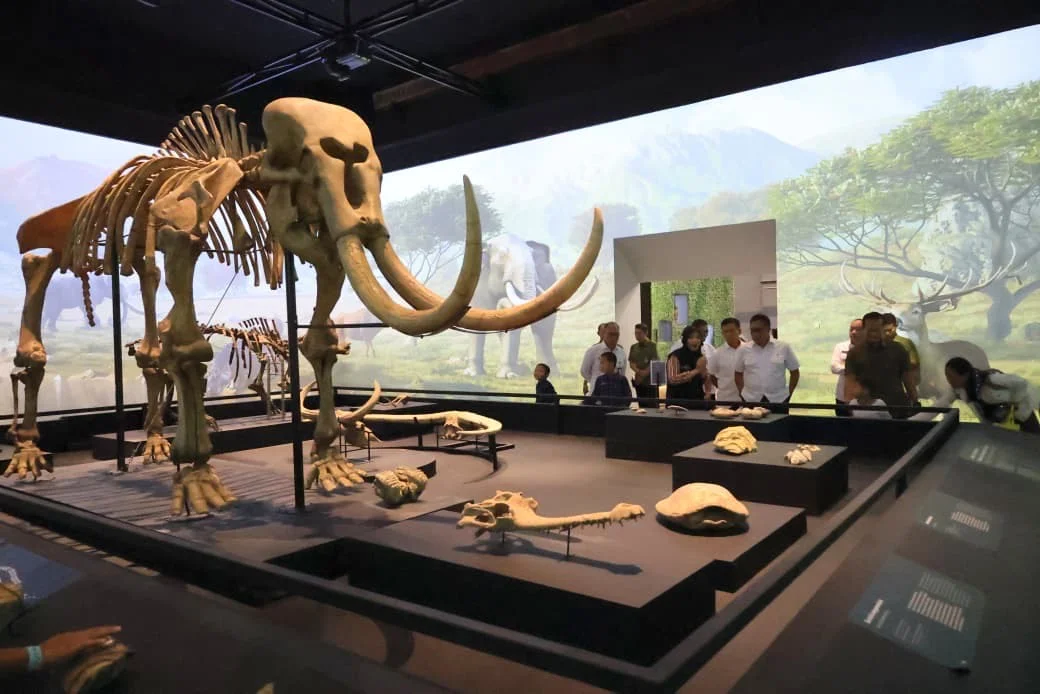 Wamenhan Kunjungi Museum ๐๏ธ Joang 45: Ajak Generasi Muda Teladani Semangat Pahlawan - Image 2